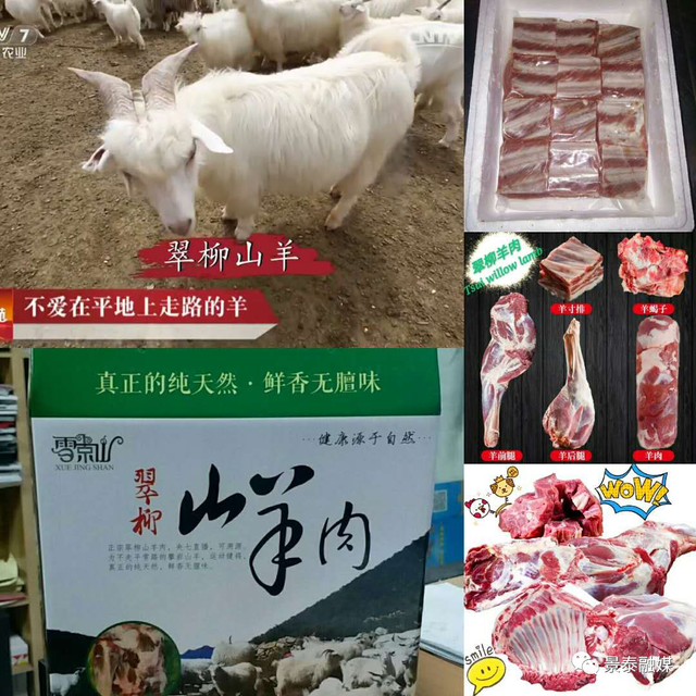 景泰县5个特色农产品品牌入选“甘味”知名农产品品牌目录，焱承予科技助力品牌腾飞